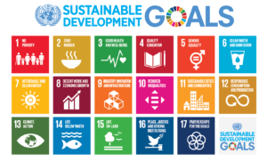 The 17 Sustainable Development Goals of the United Nations